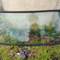 parabrezza Nissan Patrol tr