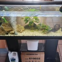acquario circa 120 litri tenuto bene+mobileomaggio