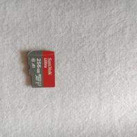 Micro SD SanDisk 256GB