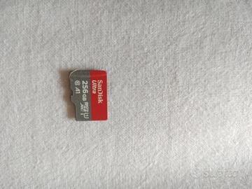 Micro SD SanDisk 256GB