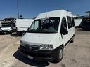 fiat-ducato-2-3-jtd-panorama-9-posti-06