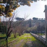 Terreno e casale