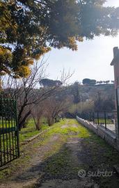 Terreno e casale