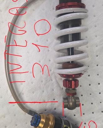 monoammortizzatore 
