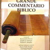 Nuovo grande commentario biblico
