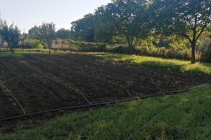 Terreno con costruzione avviata