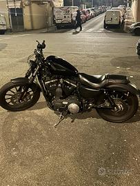 Harley Davidson 883 iron