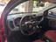 Immagine 7