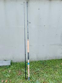 canna pesca palms shore gun evolve 103xxxh