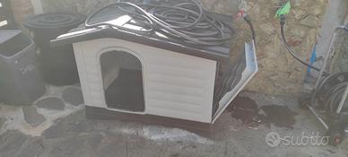 Cuccia cane