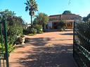 villa-a-gallipoli-con-giardino-fronte-spiaggia
