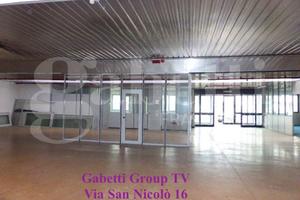 Capannone Industriale Villorba