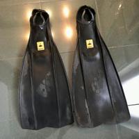 Pinne  technisub "ala"