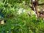 Immagine 22