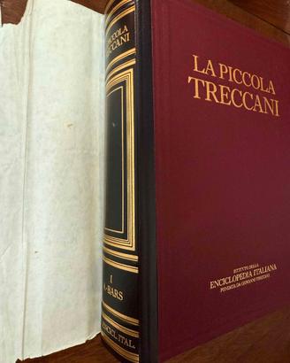 Enciclopedia La Piccola Treccani – 12 volumi compl