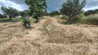 TER. RESIDENZIALE A LUZZI