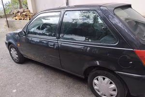 Ford Fiesta esente bollo