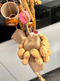 Giochi ecologici e naturali per pappagalli