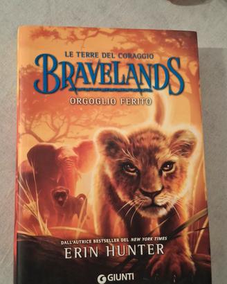 BravelandS