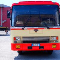 Fiat Vanhool 50 NC