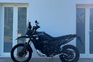 TÉNÉRÉ 700 WORLD RAID