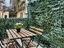 Immagine 14