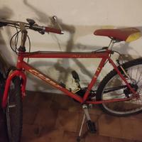 Bicicletta MTB da  ragazzo 