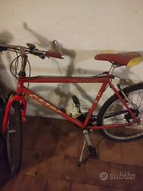 Bicicletta MTB da  ragazzo 