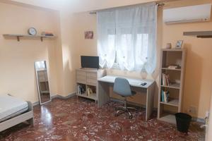 2 camere singole - zona Policlinico studenti