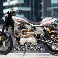 Harley sportster avantreno forcelle ohlins brembo