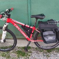 Mountain bike Cannondale ruote da 24