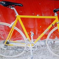 bicicletta sportiva