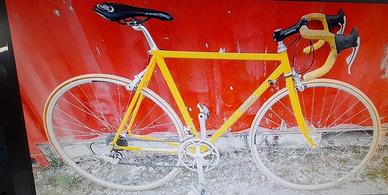 bicicletta sportiva