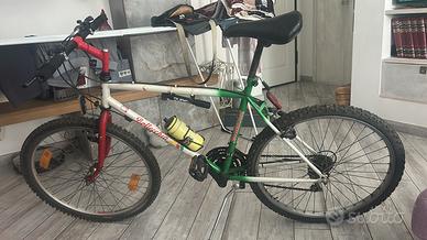 Bicicletta mtb