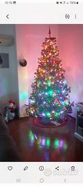 Albero di natale 