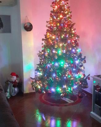 Albero di natale 