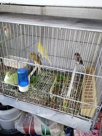 Arricciato scoch mosaico