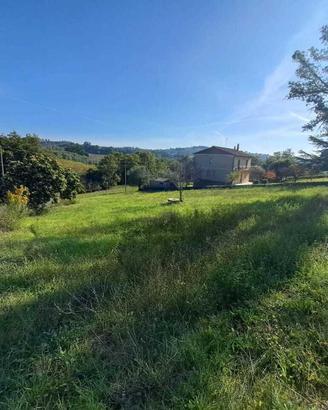 Terreno edificabile a Amelia