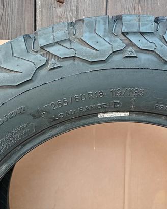 Gomme all terrain BF goodric