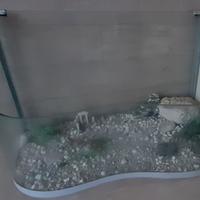 Acquario per tartarughe d'acqua