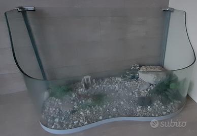 Acquario per tartarughe d'acqua