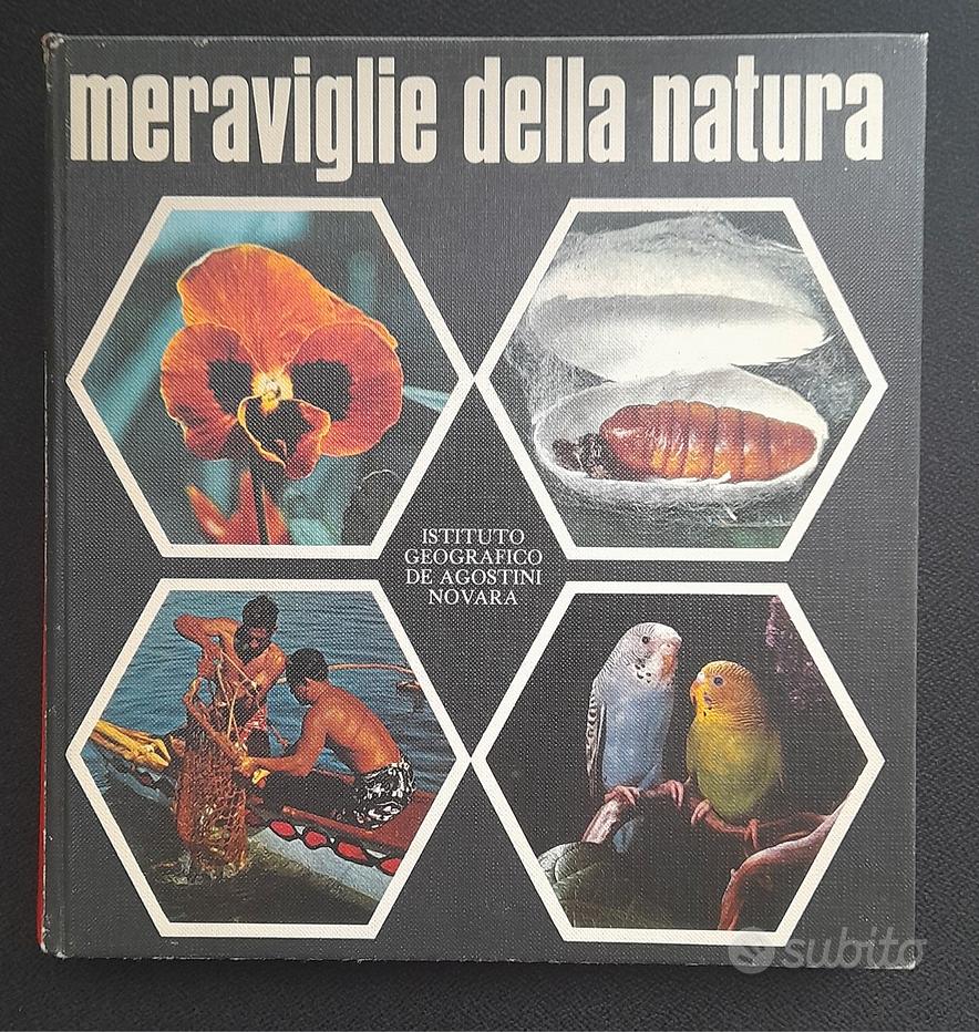 Manuali Disney Giovani Marmotte Quiz Ecologia - Libri e Riviste In vendita  a Roma