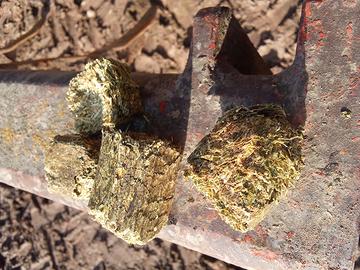 Erba medica disidratata e pressata in wafer