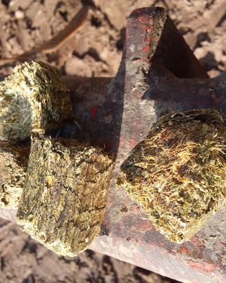 Erba medica disidratata e pressata in wafer