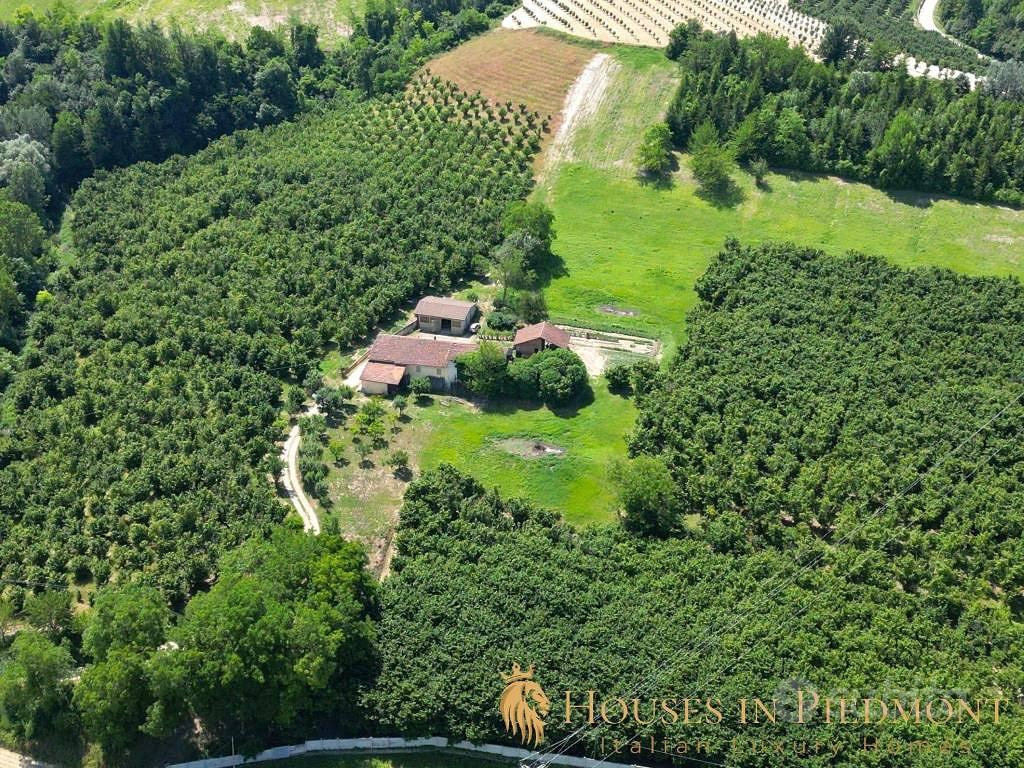 Rustico / Casale di 350 m² a Dogliani - View 3