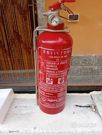 estintore per auto 