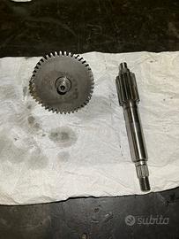 Rapporti 13/44 malossi