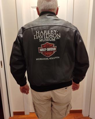 giacca in vera pelle Harley Davidson 