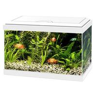 Acquario Ciano Aqua 20 Light led