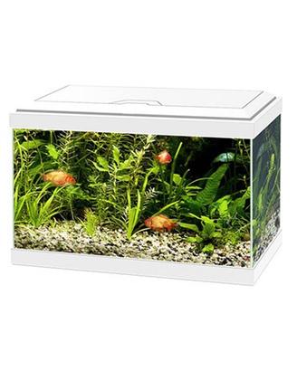 Acquario Ciano Aqua 20 Light led